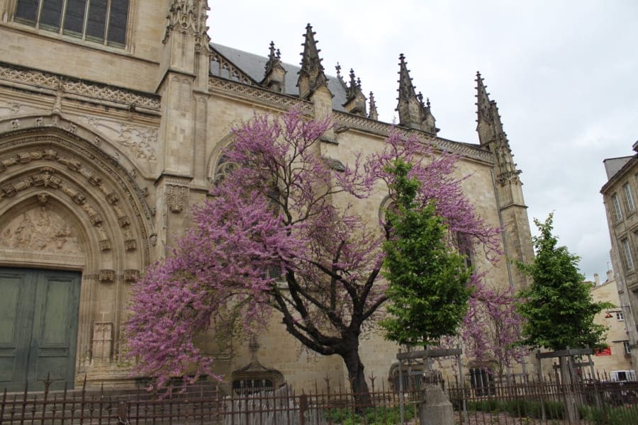Basílica de Saint-Michel em Bordeaux.