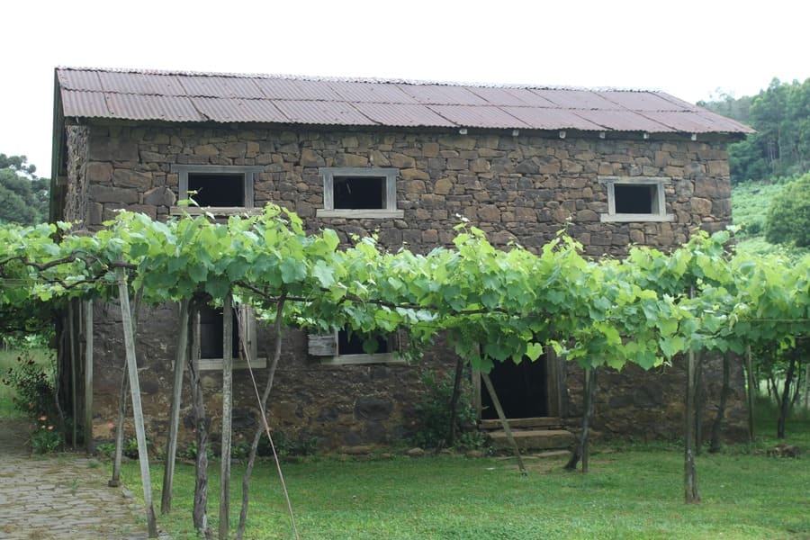 Cantina Strapazzon - Caminhos de Pedra em Bento Gonçalves