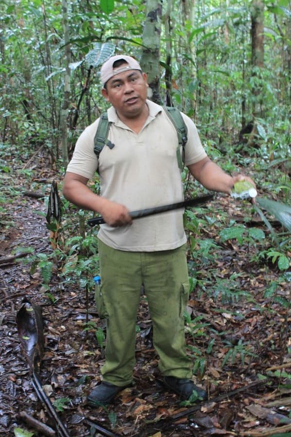 Cruzeiro na Amazônia: caminhada na selva.