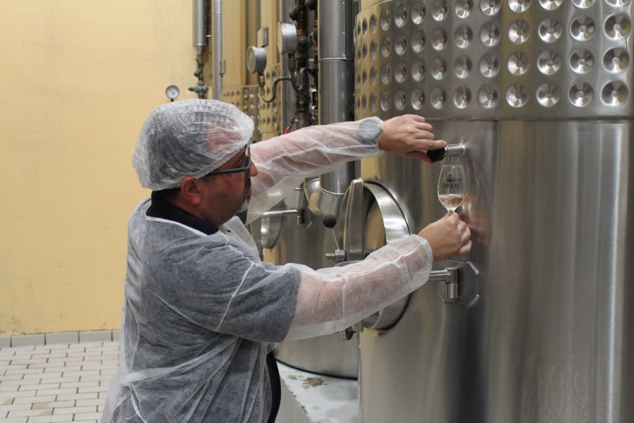 Prova do vinho retirado do tanque de aço durante o Minicurso de degustação da Vinícola Miolo