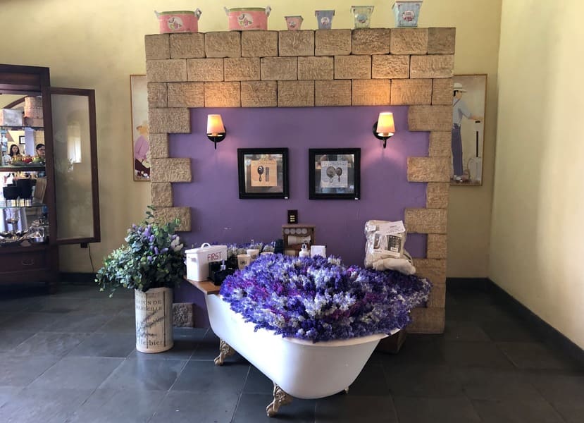 Loja com produtos à base de lavanda no Le Jardin Parque de Lavanda em Gramado.