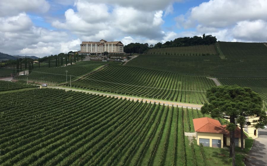 Vinícolas em Gramado e Canela, RS: conheça as principais