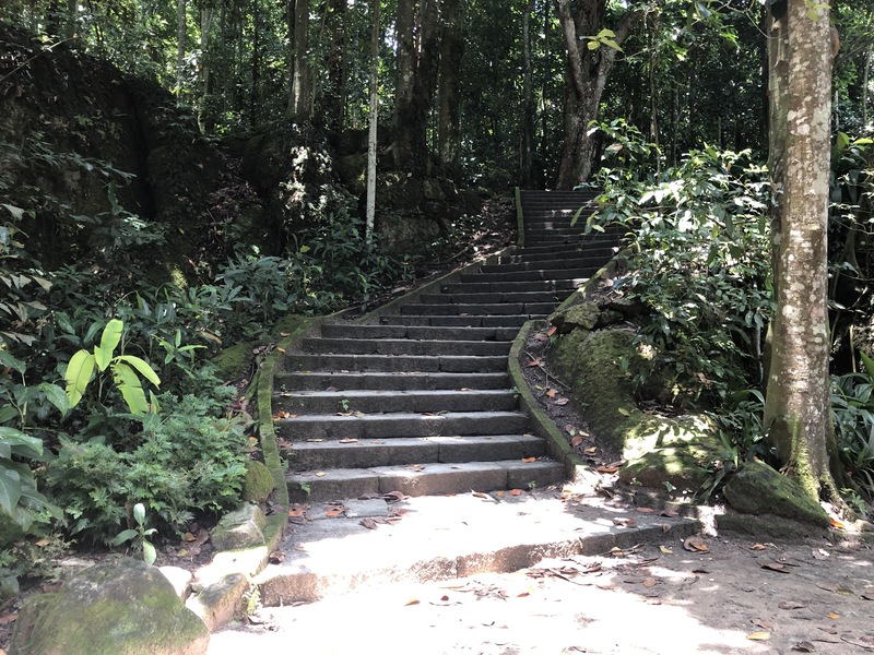 Trilhas do Parque Lage no Rio de Janeiro