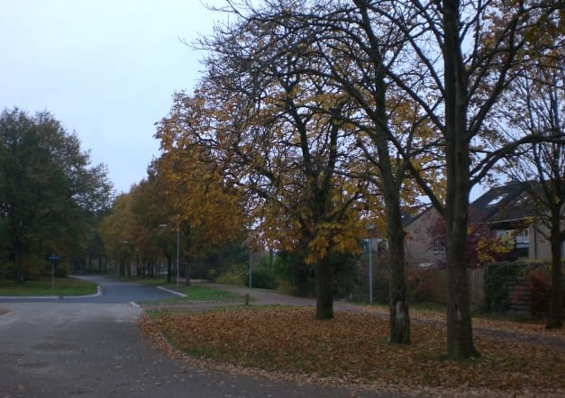 Paisagem de Outono em Assen no norte da Holanda