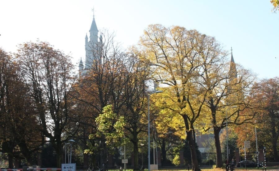 Árvores de Outono na Holanda com o Palácio da Paz ao fundo
