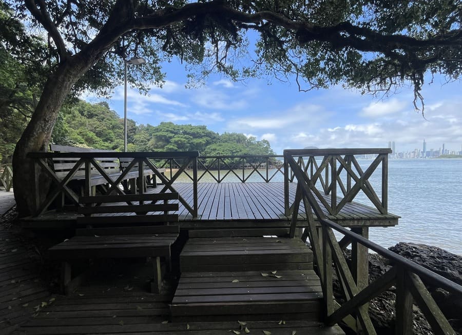 o que fazer em Balneário Camboriú em uma parada de cruzeiro: mirante da trilha do Deck do Pontal Norte