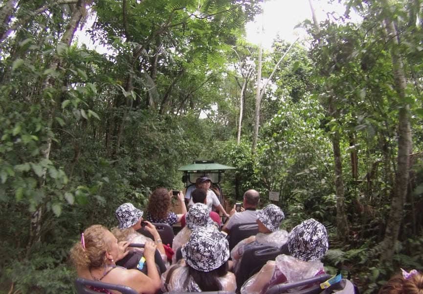 Macuco Safari Boat Ride starting point in the Atlantic Forest