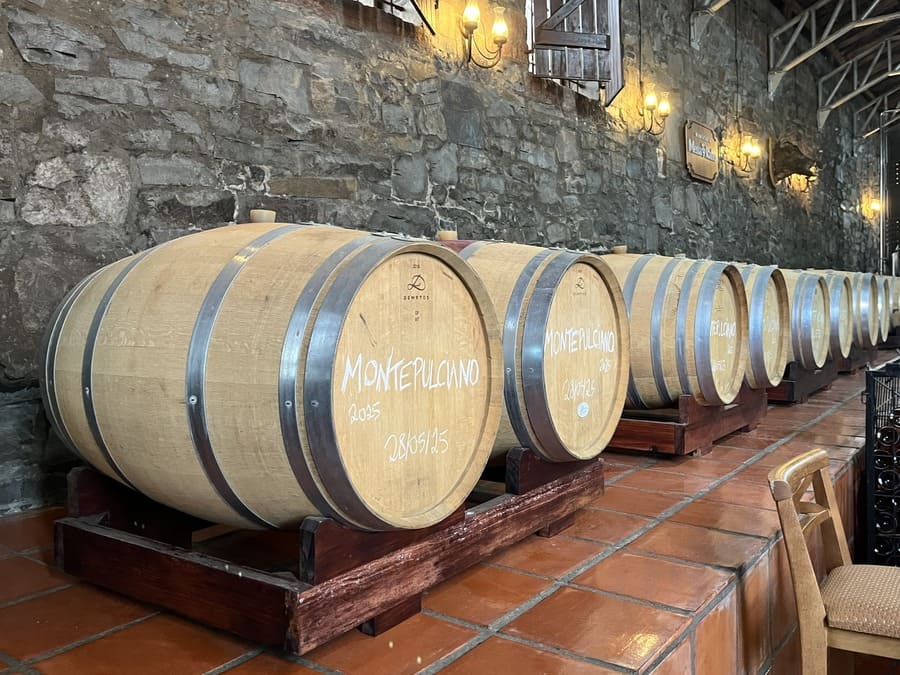 Cave com barris de vinho na Vinícola Mena Kaho