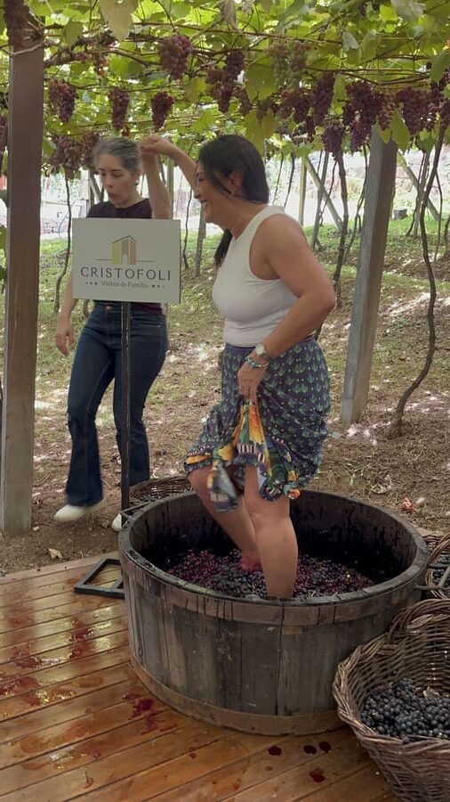 Pisa das uvas na Vinícola Cristofoli durante a vindima em Bento Gonçalves