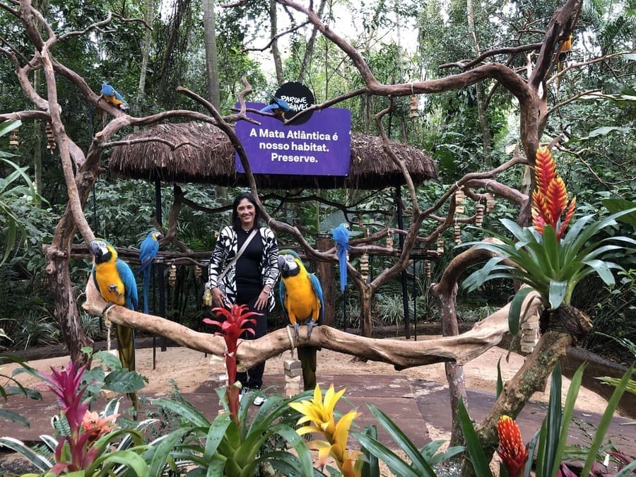Visitor inside one of the aviaries at Bird Park in Foz do Iguaçu