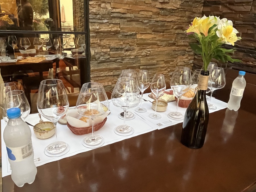 Degustação de vinhos durante visita à Vinícola Almaúnica